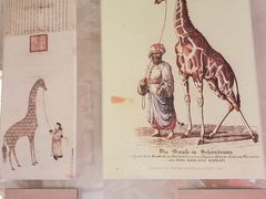 -北京动物园-畅观楼