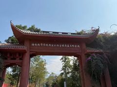 -海南霸王岭国家森林公园