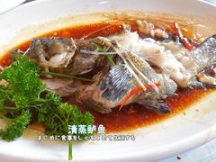 清蒸鲈鱼-小贝壳酒楼(经九路店)