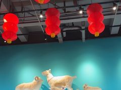 -大白羊蝎子馆(后沙峪山姆店)