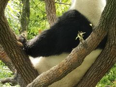 -上海野生动物园
