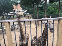 -大连森林动物园