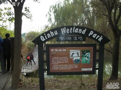 -溱湖国家湿地公园