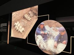 -秦始皇帝陵博物院-丽山园