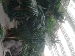 -郑州银基黄帝宫御温泉