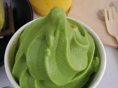 -雪绿茶博物馆