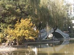 -西安市长乐公园
