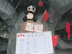 -金三可市井水煮鱼(金碧园店)