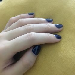 -艾妮世家