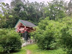 -火炉山森林公园