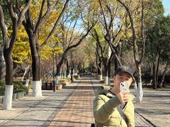 -山东大学(趵突泉校区)