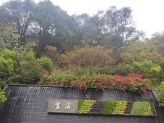 -云溪植物园