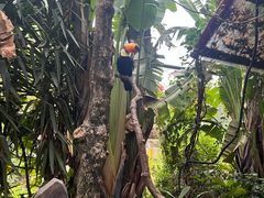 -灵玲国际马戏城