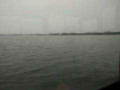 -溱湖国家湿地公园