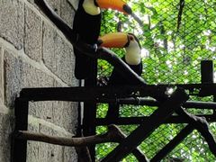 -深圳野生动物园