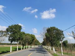 -上海崇明金茂凯悦酒店