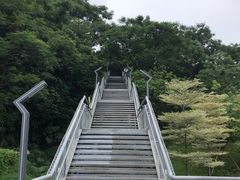 -佛山华盖山公园