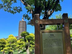-西海子公园