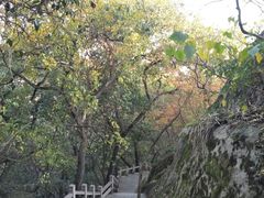 -灵岩山风景区