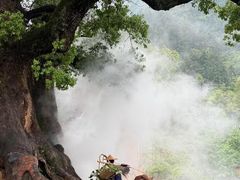 -杨家堂村