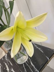 点击看大图 -熙朵美学植发连锁