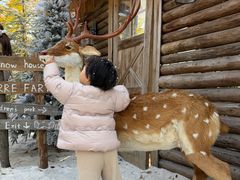 -HERRE·FARM 赫尔露营农场·团建聚会包场