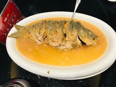 红烧黄河大鲤鱼（49元/斤）-阿庄新豫菜(通泰路店)