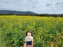 -光明小镇欢乐田园
