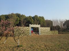 -贡湖湾湿地公园