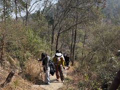 -青龙山国家森林公园