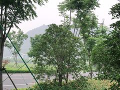 -湘湖金融镇
