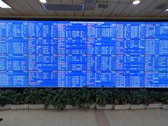 -华中科技大学同济医学院附属同济医院(汉口院区)