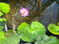 -国家植物园南园