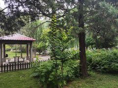 -黄村公园