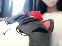 -喵园·猫主题咖啡厅·撸猫·猫咖(国贸店)