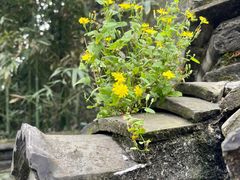 -天朝元辅-徐州民俗博物馆