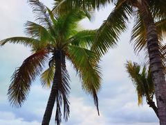 -海南清水湾莱佛士酒店