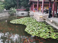 -华清宫景区