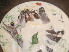 -滇色蒸汽石锅鱼(京华城店)