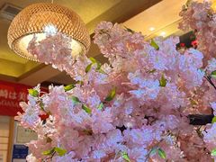 -长崎屋·日本料理·刺身·烧鸟(天河北路店)
