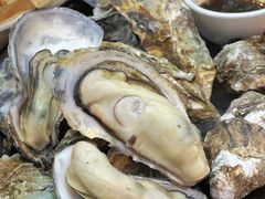 原只蒸生蚝-嘉升大排档(番禺总店)