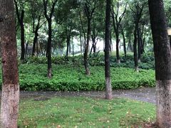 -重庆市江北嘴中央商务区中央公园