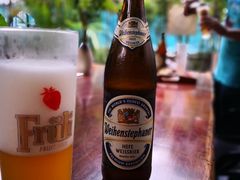 -虚荣精酿酒屋(五羊店)