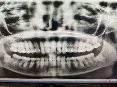 -泰康拜博口腔(世博园乐尔店)