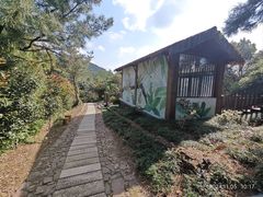 -缥缈峰景区