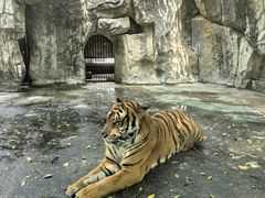 -南昌动物园