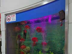 -雅悦齿科(顾村公园店)