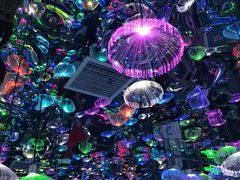 -天津梵高星空艺术馆(天河城旗舰店)