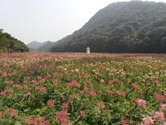 -广州市石门国家森林公园