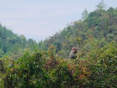 -重庆云阳龙缸景区